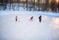Vater spielt mit seinen beiden Söhnen Eishockey — Stockfoto