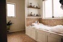 Мальчик сидит в пенной ванне — стоковое фото