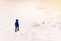 Garçon marchant dans la neige en hiver, vue arrière — Photo de stock