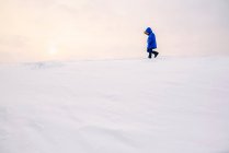 Хлопчик ходить в зимовому пейзажі — стокове фото