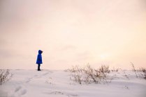Garçon debout dans le paysage hivernal sur la nature — Photo de stock