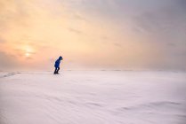 Хлопчик ходить в зимовому пейзажі на природі — стокове фото