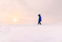 Menino andando na paisagem de inverno — Fotografia de Stock