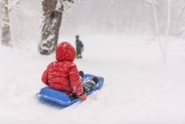 Задній вигляд, як хлопчик санки в сильному снігу — стокове фото