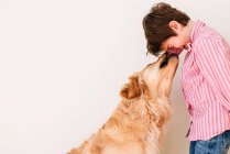 Junge knuddelt seinen Golden Retriever-Hund — Stockfoto