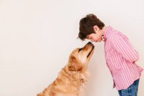 Мальчик смотрит на свою золотую собаку-ретривер — стоковое фото