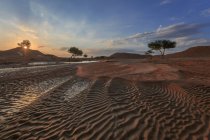 Пустельний пейзаж на заході сонця, Ріяд, Саудівська Аравія — стокове фото