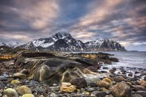 Malerischer Blick auf felsige Strandküste, Lofoten, Nordland, Norwegen — Stockfoto