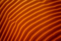 Close-up de ondulações na areia, Riade, Arábia Saudita — Fotografia de Stock