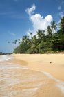 Scenic view of Tropical beach, Wellamadama, Matara, Southern Province, Sri Lanka — Stock Photo