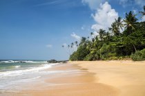 Мальовничий вид на тропічні пляжі, Wellamadama, Matara, провінція, пляжів Шрі-Ланки — стокове фото