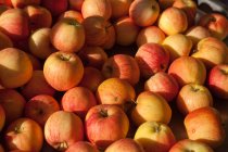 El primer plano de la pila de las manzanas de Gala en el mercado - foto de stock