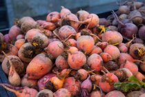 Fresh golden beets at a market, closeup view — Stock Photo