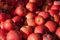 Primer plano de la pila de manzanas Fuji en un mercado - foto de stock