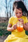 Menina desfrutando de uma bebida de verão na natureza — Fotografia de Stock