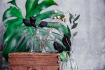 Boîte rustique en bois avec vases en verre et plantes — Photo de stock