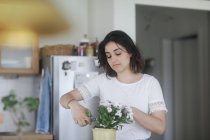 Mujer atendiendo a una planta de marihuana en su cocina - foto de stock