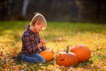 Ragazzo che intaglia una zucca di Halloween in giardino, Stati Uniti — Foto stock