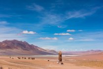 Vista panoramica della formazione rocciosa, Paso de Jama, San Pedro de Atacama, Antofagasta, Cile — Foto stock