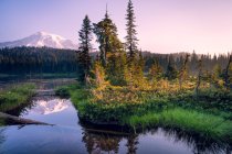 Scenic view of Mountain reflection in a lake, Mount Rainier National Park, Washington, America, USA — Stock Photo