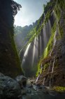 Vista panorámica de la cascada de Madakaripura, Java Oriental, Indonesia - foto de stock