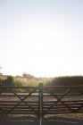 Scenic view of Closed gate at sunrise, Cotswolds, Reino Unido — Fotografia de Stock