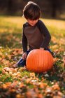 Niño sonriente tallando una calabaza de Halloween en el jardín, Estados Unidos - foto de stock