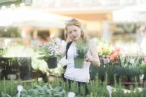 Жінка купує трави на ринку — стокове фото
