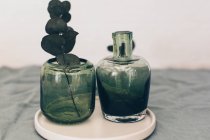 Vista aproximada de vasos de vidro com eucalipto — Fotografia de Stock