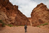 Man standing in front of Happy Canyon, Hanksville, Utah, America, USA — Stock Photo