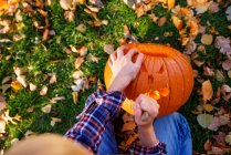 Overhead view of a Boy carving a Halloween pumpkin in the garden, United States — Foto stock