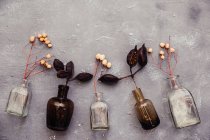 Вид сушеных цветов в стеклянных бутылках — стоковое фото