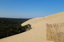 Dune of Pilat and forest landscape, La Teste-de-Buch, Arachon, Nouvelle-Aquitaine, France — Stock Photo
