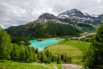 Scenic view of Palu Lake and Bernina Alps, Grisons, Switzerland — Stock Photo