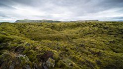 Поле Эльдраун Лава близ деревни Киркджубаэджарклаустур, Южная Исландия — стоковое фото