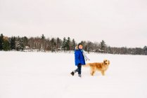 Мальчик выгуливает собаку по снегу — стоковое фото
