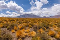 Scenic view of Mountain landscape, Socaire, El Loa, Antofagasta, Chile — Stock Photo