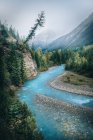 Beautiful landscape with river, forest and mountains — Stock Photo