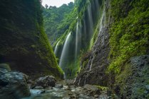 Vue panoramique sur la cascade de Madakaripura, Java Est, Indonésie — Photo de stock