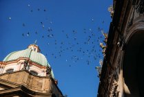 Vista panoramica del gregge di uccelli che vola sopra una cattedrale, Praga, Repubblica Ceca — Foto stock