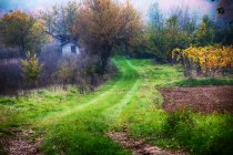 Vista panorámica del paisaje rural, Colinas Tortona, Alessandria, Piamonte, Italia - foto de stock