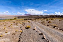 Vue panoramique sur la route de montagne, Salar de Tara, San Pedro de Atacama, Antofagasta, Chili — Photo de stock