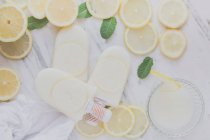 Лимонный лед со свежим лимоном и мятой — стоковое фото