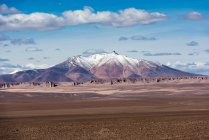 Malerischer Blick auf den Vulkan Zapaleri, Paso de Jama, Susques, Jujuy, Argentinien — Stockfoto
