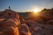 Uomo in piedi sulle rocce, Valley of Fire State Park, Nevada, America, USA — Foto stock
