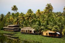 Vista panorámica de las casas flotantes en el lago Vembanad, Kerala, India - foto de stock