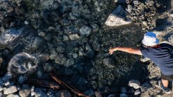 Мальчик бросает камень в ручей, Америка, США — стоковое фото