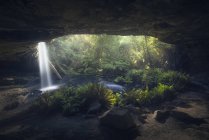 Vista panorámica de la cascada en la selva tropical, Victoria, Australia - foto de stock