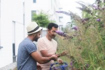 Deux hommes debout dans un jardin élagage plantes — Photo de stock