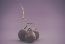 Una ramita de uvas rojas, vista de cerca - foto de stock